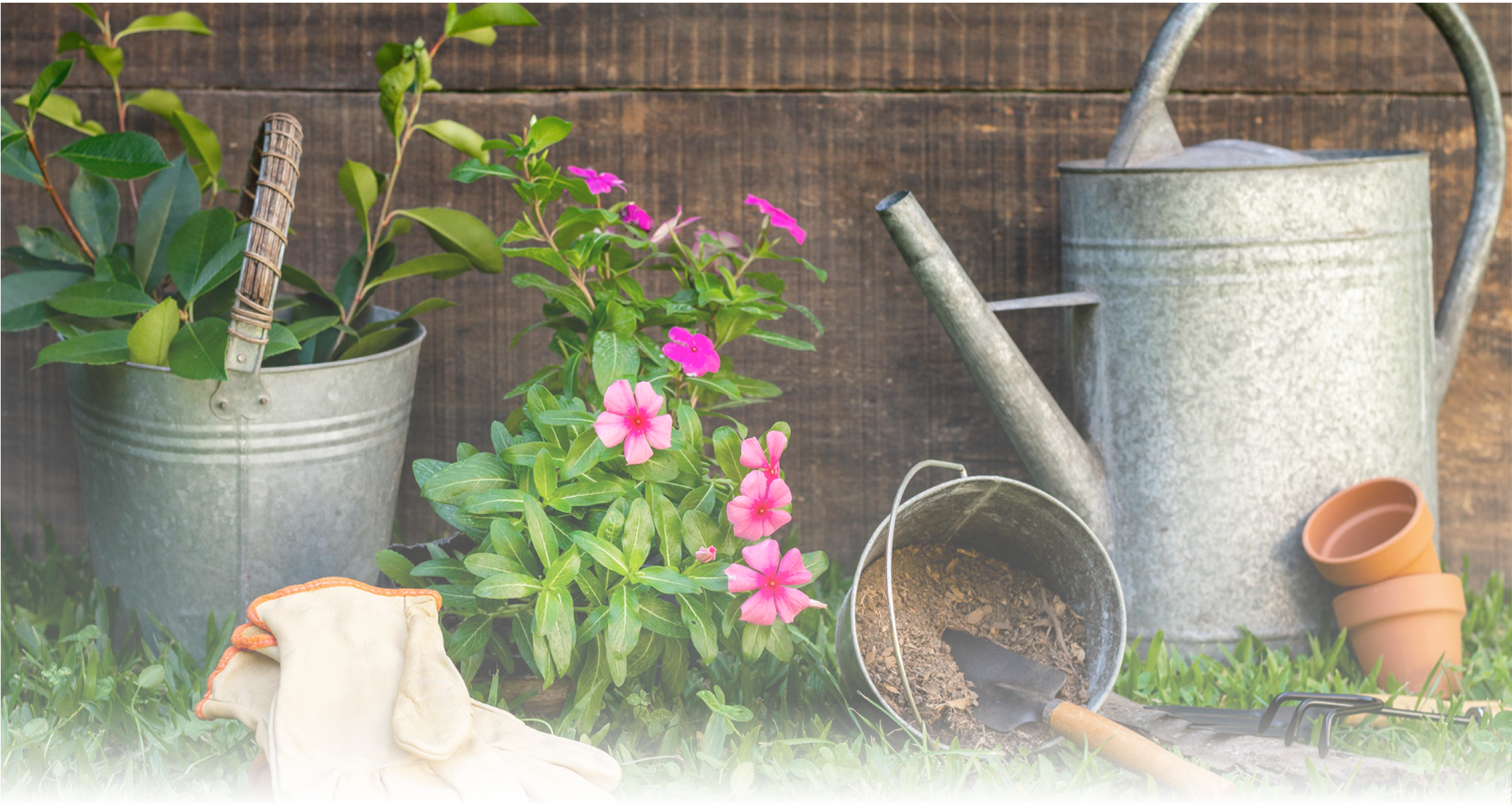 Garden & Landscape Materials